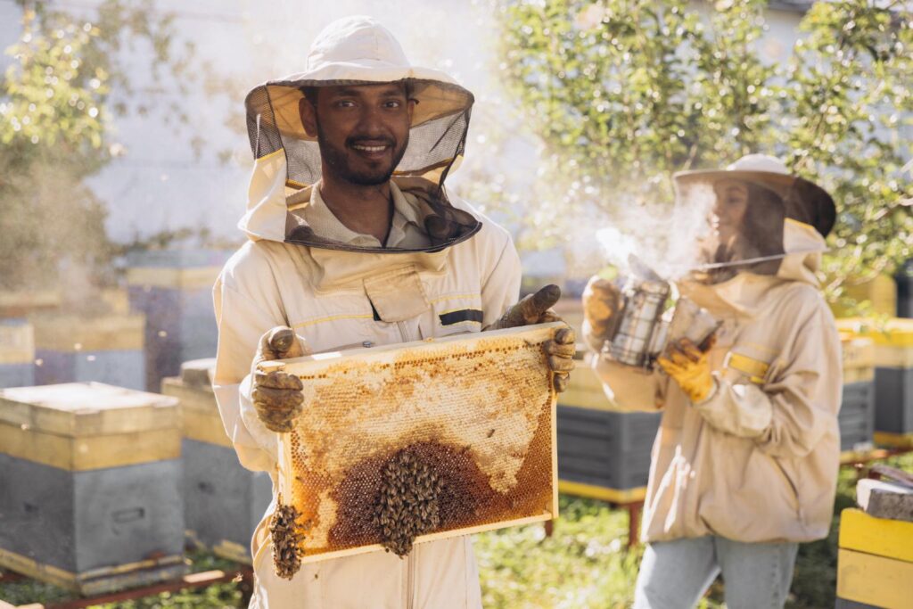 A image of two beekeepers carefully holding a hive filled with golden honeycomb, showcasing their dedication to beekeeping.